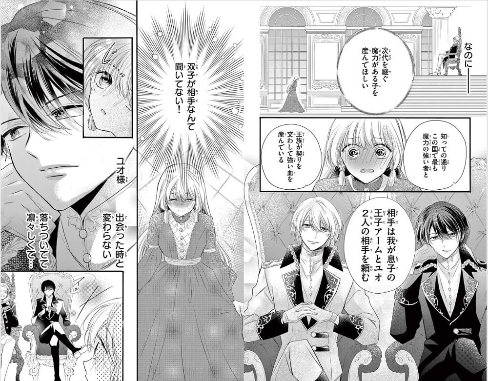 夜伽の双子―贄姫は二人の王子に愛される― ebookjapan 試し読み 